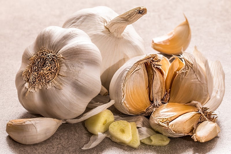 Culinary Fusion Harmony